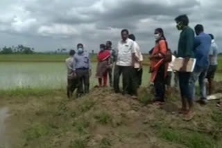 illegal fish pond area ploughing was noticed by west godavari district officers