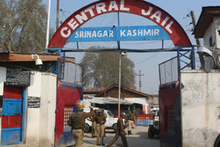 Central jail srinagar positive cases