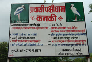 Protection of migratory birds