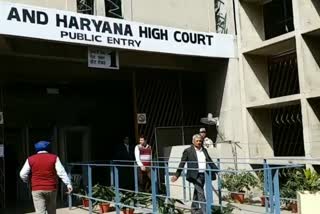 punjab haryana high court