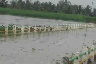 Water from the Kabini Reservoir to the Kapila River: Suttur Bridge sunk