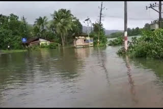 Water Flows Out from kadra Dam