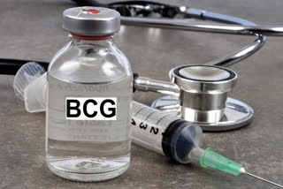 Safe for COVID, BCG vaccine, Tuberculosis vaccine