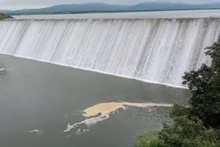 सातपुड्याच्या पायथ्याशी असलेले चारगड धरण ओव्हरफ्लो; १४०० हेक्टर क्षेत्र ओलिताखाली येणार