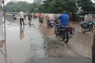 rainfall in Bharuch city and district