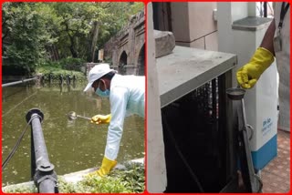 NDMC anti-larval activity to prevent mosquito breeding in new delhi