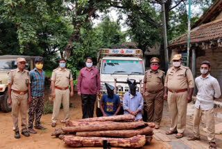 అరటి గెలల చాటున ఎర్రచందనం దుంగలు అక్రమ రవాణా