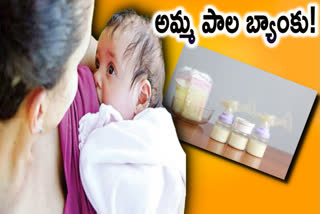 vhuman-milk-banks-best-substitute-for-babies-who-are-deprived-of-mothers-milk