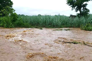 bridge braked due to  Heavy rain fall