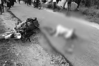 bike accident at arikera village and a person died in kurnool district