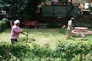 MCD staff cleaning park in Tilak Nagar area