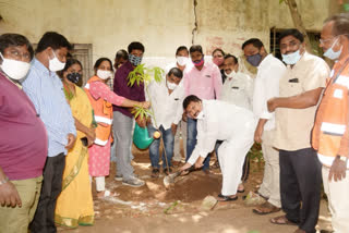 Musheerabad MLA Participated in Haritha Haram