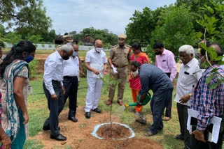 'ఈసారి అధికంగా విద్యుత్ ను ఉత్పత్తి చేస్తాం'