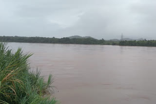 netravati river water flow Increase