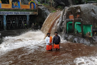 ಚಿಕ್ಕಮಗಳೂರು ಜಿಲ್ಲೆಯಲ್ಲಿ ಧಾರಾಕಾರ ಮಳೆ