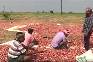 karnool collector meeting on onions