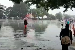 heavy rain in himachal