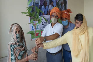 Irrigation department distributed 19 thousand fruitful plants to farmers in Faridabad