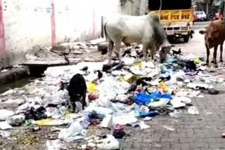 People are upset over garbage dump on road in Ghitorni village delhi