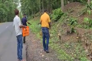 Social worker fed fruits to monkeys