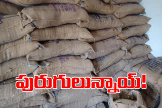 ration rice got damaged which is to be distributed at parupalli