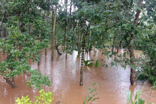 Heavy rain in Shimoga