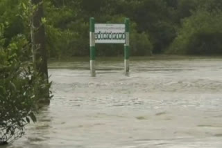 Heavy rain in Uttara Kannada