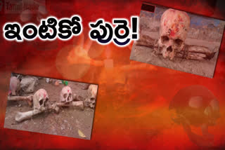 skeletons-found-in-front-of-houses-in-tamil-nadu