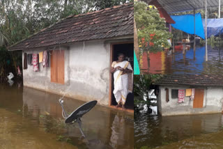 ചങ്ങനാശേരിയുടെ പടിഞ്ഞാറൻ മേഖലകൾ വെള്ളത്തിൽ  Changanassery rain updates  kottayam rain updates