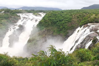 Gaganachukki falls