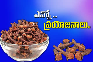 benefits of Cloves in telugu