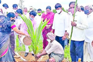 mla anand inspect raithu vedika construction works in-vikarabad-mandal