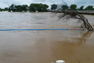 Increased water to the Ghataprabha..Yadavada Bridge inundation