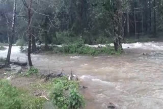 heavy rain in malappuram  Punchakolli alakkakl colony  malappuram news  rain news  മലപ്പുറം വാര്‍ത്തകള്‍  മഴ വാര്‍ത്തകള്‍  പുഞ്ചകൊല്ലി