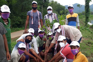 plants planted by janasena followers in kandivaram