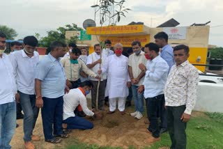 Plantation in Jaipur, Jaipur MP Ramcharan Bohra