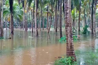 Heavy Rain in Uudupi