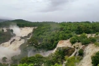 Visitors are allowed to view Bharachukki falls from today