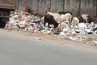 Garbage dump on Ring Road Paschim Vihar delhi