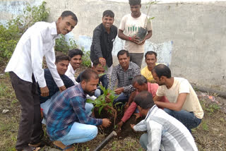 Tribal Bhilala society did tree plantation in agar