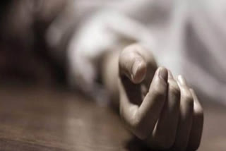 lady suicide in visakhapatnam district due to dowry issue