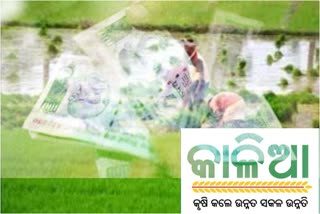 କାଳିଆ ଟଙ୍କା ଫେରସ୍ତ ନିଷ୍ପତ୍ତିକୁ ସ୍ଥଗିତ ରଖିଲେ ସରକାର