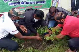 Plantation program organized on World Tribal Day