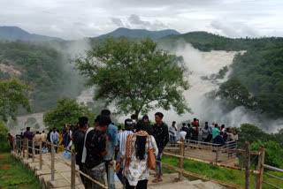 Tourists visiting Bharuchukki Falls