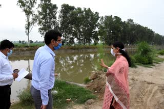 dc priyanka soni visited waterlogging affected area in hisar