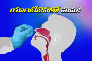 special story on Antigen tests in hyderabad