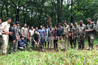 Darshan Plant a Tree in Bhadra forest area