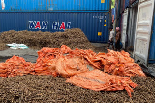 Drugs worth Rs thousand crore seized from JNPT port