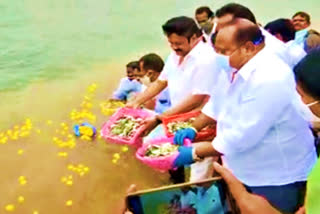 fish release in midmaneru by ministers talasani and gangula