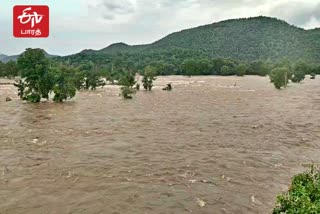 ஒகேனக்கலுக்கு நீர் வரத்து குறைவு